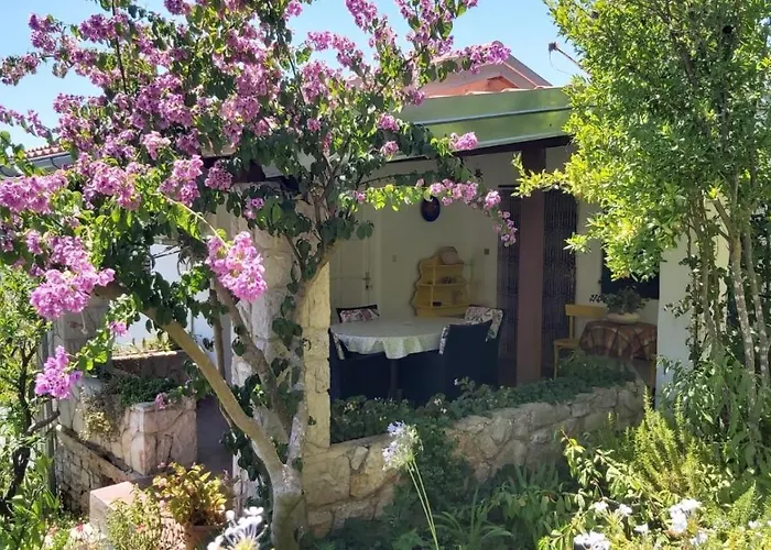 公寓 Maja 木洛希尼