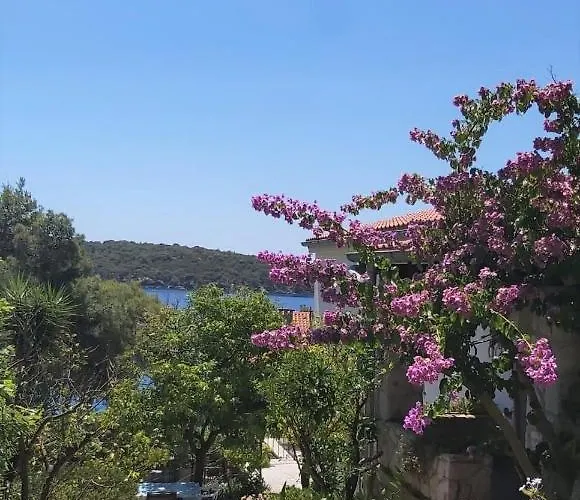 Maja Apartamento