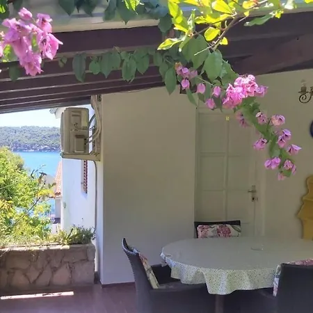 Maja מאלי לוסיניי