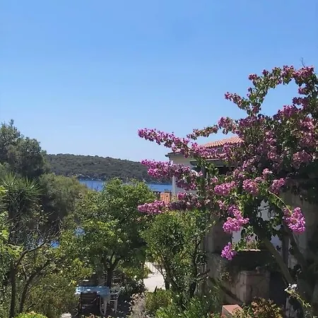 Maja Διαμέρισμα